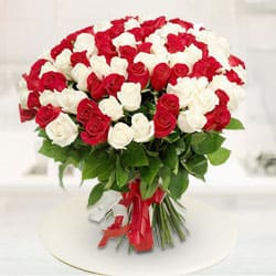 Heavenly Dazzle Red N White Roses Premium Bouquet Heavenly Dazzle Red N White Roses Premium Bouquet
