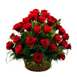 Fresh Dutch Roses Basket Fresh Dutch Roses Basket