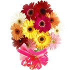 Tender Assemble of Fifteen Mixed Gerberas Tender Assemble of Fifteen Mixed Gerberas