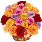 Breathtaking Flower Colour Splash Collection Breathtaking Flower Colour Splash Collection