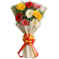 Luminous Loving Treat of Ten Gerberas Bundle Luminous Loving Treat of Ten Gerberas Bundle