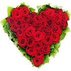 Majestic Hearty Arrangement of Dutch Roses Majestic Hearty Arrangement of Dutch Roses