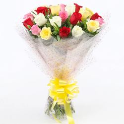 Romantic Sizzle Delight Mixed Roses Collection Romantic Sizzle Delight Mixed Roses Collection