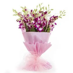 Vibrant Blooms Purple Orchid Stems Bunch Vibrant Blooms Purple Orchid Stems Bunch