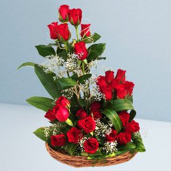 Flowering Basket Arrangement of 25 Dutch Red Roses Flowering Basket Arrangement of 25 Dutch Red Roses