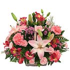 Blossoming Presentation of Mixed Flowers Basket with Petite Fillers Blossoming Presentation of Mixed Flowers Basket with Petite Fillers