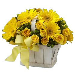 Thriving Togetherness Roses and Gerberas Arrangement Thriving Togetherness Roses and Gerberas Arrangement