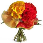 Charismatic Bouquet of Red & Yellow Gerberas Charismatic Bouquet of Red & Yellow Gerberas