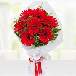 Precious Bloom Red Gerberas Bouquet Precious Bloom Red Gerberas Bouquet