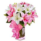 Overwhelming Flock of Dateless Lilies Overwhelming Flock of Dateless Lilies