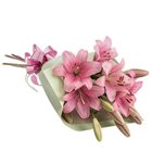 Gladsome Bouquet of Startling Lilies Gladsome Bouquet of Startling Lilies