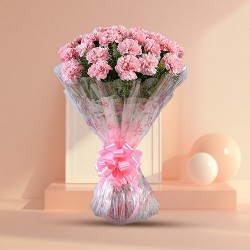 Shop for this fresh Bouquet of Carnations in Pink shade Shop for this fresh Bouquet of Carnations in Pink shade