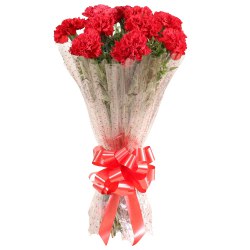Shop for an elegant Hand Bunch of Red Carnations Shop for an elegant Hand Bunch of Red Carnations