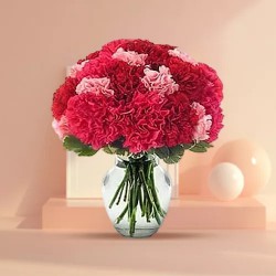 Send online this lovely Glass Vase full of Pink & Red Carnations Send online this lovely Glass Vase full of Pink & Red Carnations