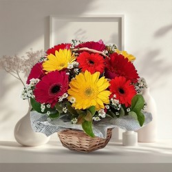 Lovely Arrangement of One Dozen Mixed Gerberas Lovely Arrangement of One Dozen Mixed Gerberas