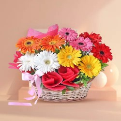 Luminous Basket of Mixed Gerberas Luminous Basket of Mixed Gerberas