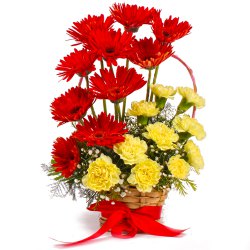 Vibrant Basket Arrangement of Yellow Color Carnations with Red Color Gerberas Vibrant Basket Arrangement of Yellow Color Carnations with Red Color Gerberas