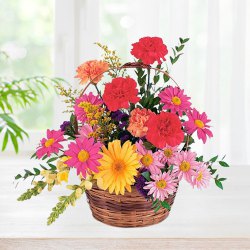Impressive Carnations & Gerberas Basket Impressive Carnations & Gerberas Basket