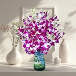 Brilliant Glass Vase Arrangement of Orchids Brilliant Glass Vase Arrangement of Orchids