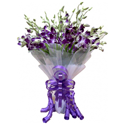 Captivating Bouquet of Blue Color Orchids Captivating Bouquet of Blue Color Orchids