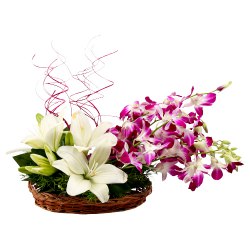 Heavenly Basket Arrangement of White Lilies nd Orchids Heavenly Basket Arrangement of White Lilies nd Orchids