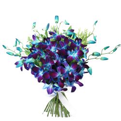 Impressive Blue Orchids Bouquet Impressive Blue Orchids Bouquet