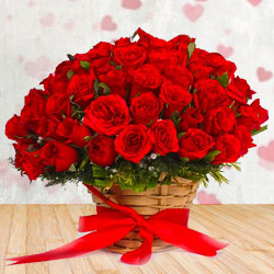 Gorgeous Selection of Red Roses surrounded with White Fillers Gorgeous Selection of Red Roses surrounded with White Fillers