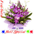 Heavenly Orchids Avengement with free Gulal/Abir Pouch.
Heavenly Orchids Avengement with free Gulal/Abir Pouch.