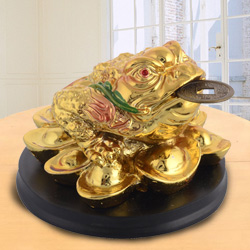 Sacred Feng Shui Three Legged Money Frog Sacred Feng Shui Three Legged Money Frog
