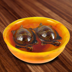 Fengshui Bowl with Tortoise Fengshui Bowl with Tortoise