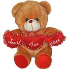 Sensational Tri Heart Bear Sensational Tri Heart Bear
