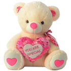 Pretty Teddy Bear with a Stylish Heart Pretty Teddy Bear with a Stylish Heart