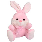 Cute Rabbit Soft Toy Cute Rabbit Soft Toy