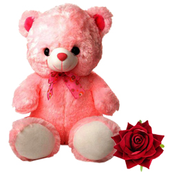 Gift this Big Teddy Bear to your loved ones. (30 inch) Gift this Big Teddy Bear to your loved ones. (30 inch)
