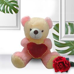 Love Teddy With Heart (16 inches) with a Velvet Red Rose Love Teddy With Heart (16 inches) with a Velvet Red Rose