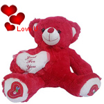 Charming Valentine Special Teddy Bear Charming Valentine Special Teddy Bear