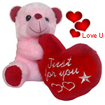 Soft Plush Teddy bear Soft Plush Teddy bear