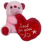 Soft Plush Teddy bear Soft Plush Teddy bear