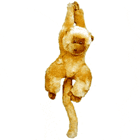 Hanging Monkey Hanging Monkey