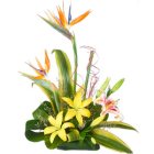 Traditional Pure Desire Arrangement of Lilies and Birds of Paradise Traditional Pure Desire Arrangement of Lilies and Birds of Paradise