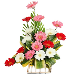 Breathtaking Designer Arrangement of 7 Gerberas with Hypnotic Wishes Breathtaking Designer Arrangement of 7 Gerberas with Hypnotic Wishes