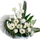 Cheerful Bunch of 2 Dozen White Floras Cheerful Bunch of 2 Dozen White Floras