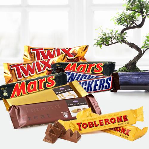 Delicous Chocolate Bars Hamper Delicous Chocolate Bars Hamper