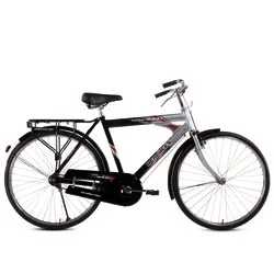 Bsa clearance ladybird dazz