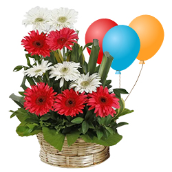 Expressive Sunshine Mixed Gerberas Bouqu...