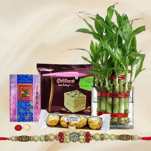 Eco Friendly Rakhi Assortment Gifts