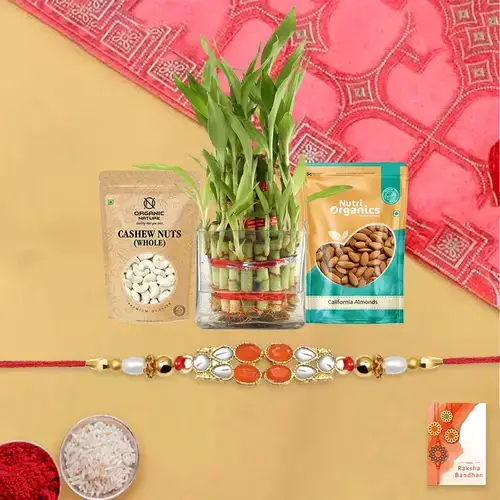Attractive Bhai Rakhi with Dry Fruits n Bamboo Plant
